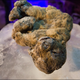 Illustration for article titled These Frozen Lion Cubs Were Just a Few Weeks Old When They Died 12,000 Years Ago